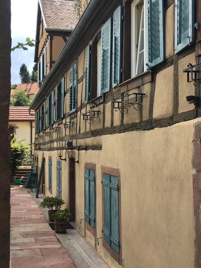 Le Gite Du Moulin Ribeauvillé Dış mekan fotoğraf