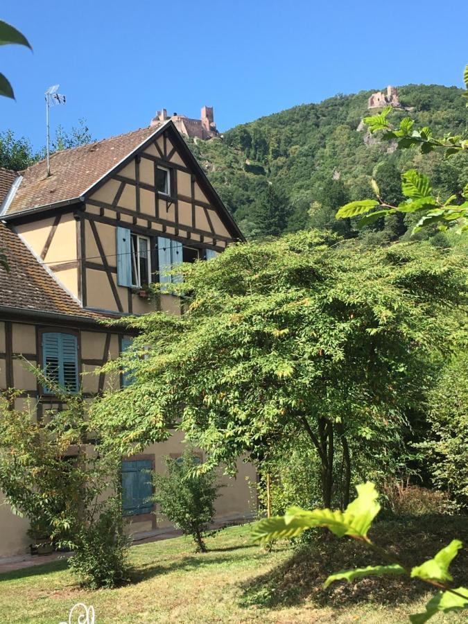 Le Gite Du Moulin Ribeauvillé Dış mekan fotoğraf
