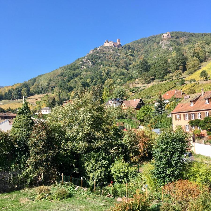 Le Gite Du Moulin Ribeauvillé Dış mekan fotoğraf